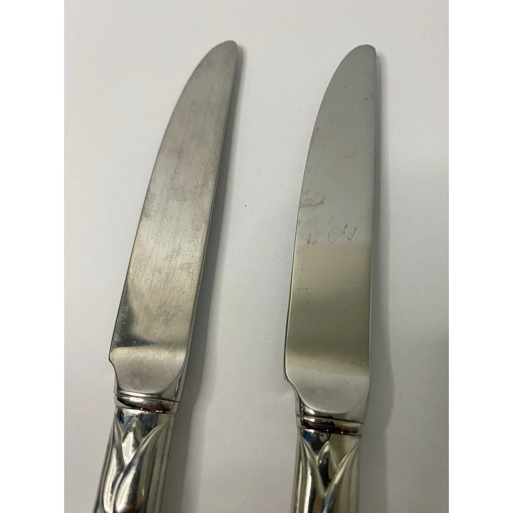 Yamazaki Raceme Japan Stainless Steel Flatware Dinner Knives Lot Of 2 Silver